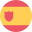 Languages Flag