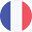 Languages Flag